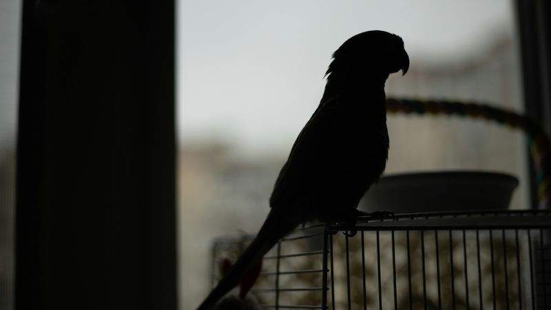 Paw Haven Pet Care - Image 4